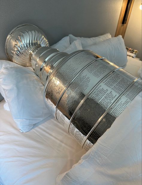 Stanley Cup Aesthetic Hockey, Stanley Cup Hockey, Stanley Cup Trophy, Hockey Cup, Player Quotes, Women In Sports, Mood Aesthetic, Sports Girl, Stanley Cups