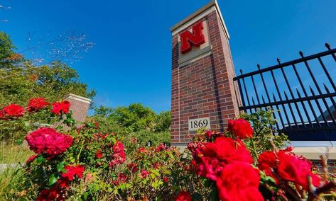 10 Easiest Classes at the University of Nebraska - Humans of University Creighton University, Teaching Practices, Fossil Fuels, College Campus, State College, Moving Day, Financial Aid, College Students, Packing List