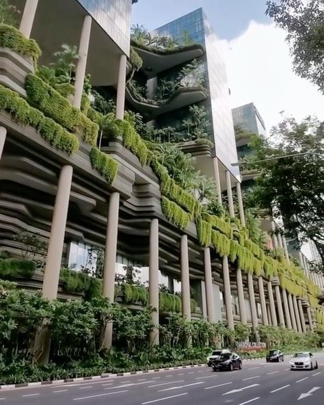 Adventure - Travel on Instagram: “Ground level view of the beautiful PARKROYAL COLLECTION Pickering in Singapore 🍃 Have you been to Singapore!? 🇸🇬 Video by: @jensonslog” Unique Hotel Design, Condominium Architecture, Singapore Architecture, Park Royal, Singapore Garden, Unique Hotels, Organic Architecture, Forest Landscape, Beautiful Hotels