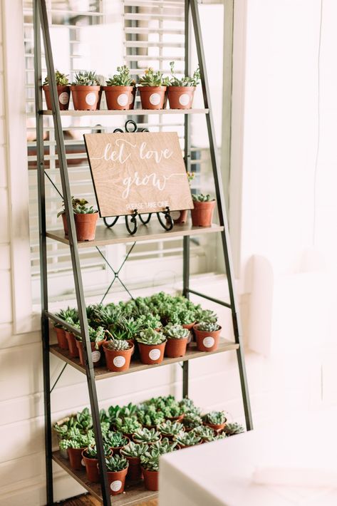 Booth Display Ideas Diy, Coral Wedding Colors, Natural Wood Accents, Rustic Bohemian Wedding, Bohemian Beach Wedding, Succulent Wedding Favors, Succulent Favors, Modern Minimalist Wedding, Succulent Wedding