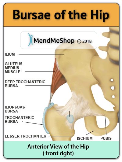 Bursa Surgeries Hip Bursa, Subacromial Bursitis, Iliopsoas Bursitis, Greater Trochanteric Pain Syndrome, Bursitis Shoulder, Carpal Tunnel Surgery, Knee Ligaments, Bursitis Hip, Hip Injuries