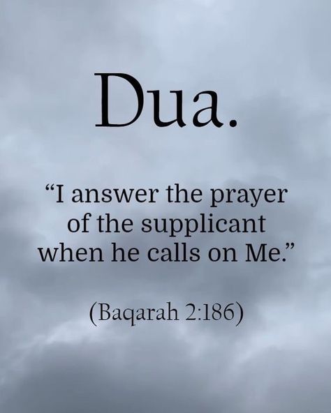 16 Missed Calls, Surah Baqarah, Quranic Quotes, Missed Calls, Religion Quotes, Almighty Allah, Important Quotes, Hadith Quotes, The Prayer