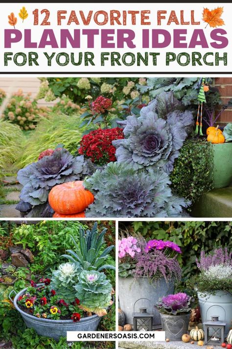 12 Front Porch Fall Planter Ideas | Container Gardening Container Plants Full Sun, Container Plants For Shade, Fall Containers Planters, Fall Outdoor Planter Ideas, Planter Ideas Outdoor, Container Gardening Design, Fall Potted Plants, Container Gardening Herbs, Autumn Front Porch Decor