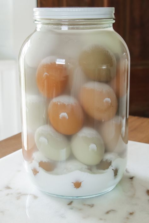 Eggs in a glass jar that have been water glassed for long term storage. Glassing Eggs, Preserve Eggs, Preserving Eggs, Glass Eggs, Storing Eggs, Lime Water, Canning Supplies, Pickled Vegetables, Farm Fresh Eggs