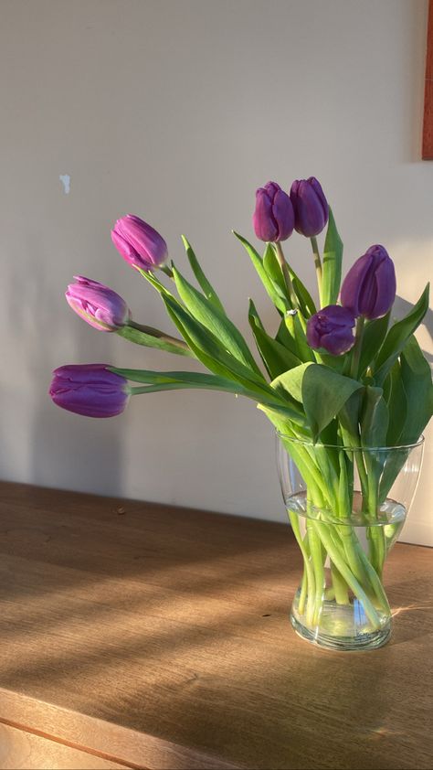 #tulip #purple #aesthetic Purple Tulips Aesthetic Wallpaper, Purple Tulips Aesthetic, Purple Tulips Wallpaper, Paint Tulips, Purple Moodboard, Iphone Wallpaper Bts, Tulip Colors, Beautiful Flowers Photos, Blue Tulips