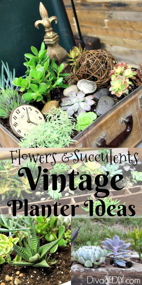 Unique Flower Planter Ideas For Flowers and Succulents | Diva of DIY Flower Planter Ideas, Indoor Succulent Garden, Flowers And Succulents, Unusual Planter, Succulent Garden Indoor, Vertical Vegetable Garden, Succulent Garden Design, Unique Planter, Planter Ideas