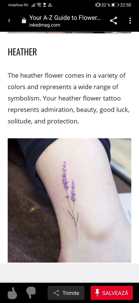 Irish Heather Tattoo, Heather Tattoo Flower, Scottish Heather Tattoo, Heather Flower Tattoo, Heather Tattoo, Flower Tattoo Meaning, Heather Flower, Scottish Heather, Flower Tattoo Meanings