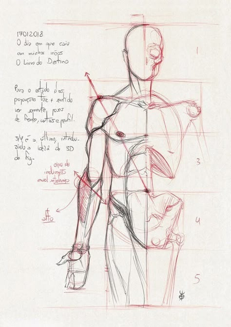 Moment Drawing, Male Sketches, Anatomy Studies, Male Pose, Male Anatomy, Study Art, Male Pose Reference, Anatomy Tutorial, Human Anatomy Drawing