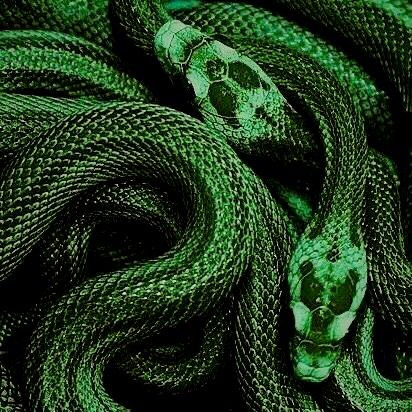 Green Snake Wallpaper, Snake Wallpaper, Green Snake, Draco Malfoy, Art Google, Loki, Emerald Green, Emerald, Drive