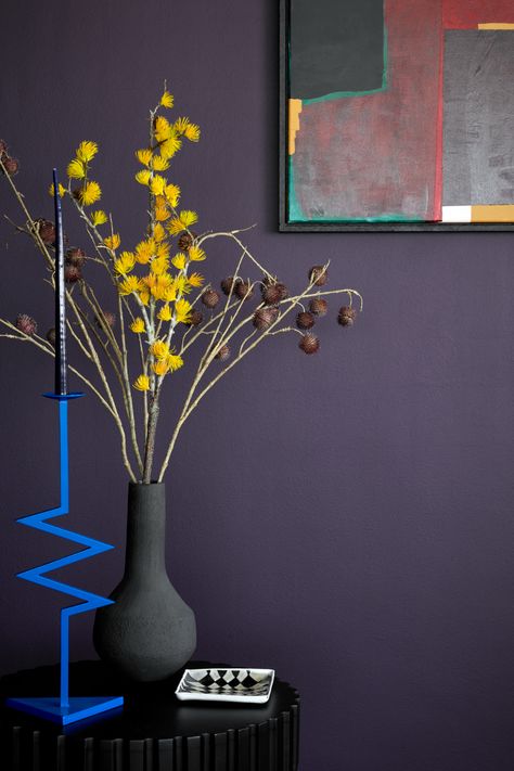 Colors that go with purple | Livingetc Dark Purple Paint, Rococo Interior, Royal Purple Color, Purple Color Schemes, Interior Shop, Violet Plant, Paint Inspiration, Purple Interior, Earth Pigments