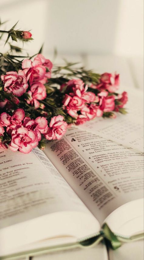 Bible And Flowers Aesthetic, Bible With Flowers, Bible Photos, Worship Backgrounds, Book Flowers, Dark Photography, Flower Backgrounds, Book Photography, Flower Wallpaper