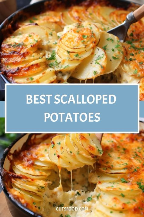 Best Scalloped Potatoes Best Scalloped Potatoes, Creamy Scalloped Potatoes, Potatoe Recipes, Entertaining Menu, Dinner Party Dishes, Layered Potato, Scalloped Potato Recipes, Potato Recipes Side Dishes, Scallop Recipes