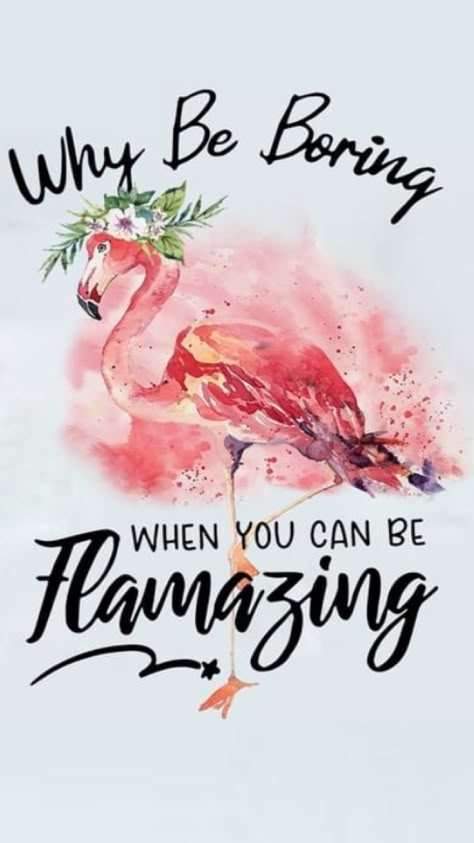 Flamazing Flamingo, Vanity Smurf, Flamingo Quotes, Break Up Party, Funny 50th Birthday Shirts, Flamingo Quilt, Flamingos Quote, Flamingo Head, Pink Flamingo Birthday