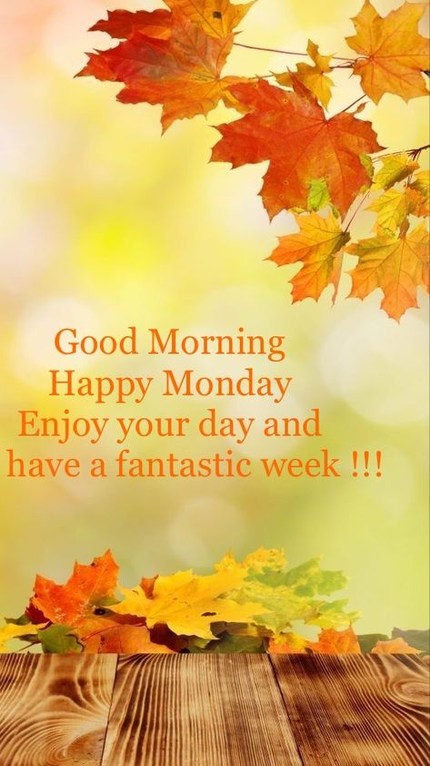 Monday Fall Quotes, Good Evening Sms, Monday Morning Greetings, Monday Morning Inspiration, Happy Monday Images, Monday Greetings, Happy Monday Morning, Good Morning Monday, Inspirational Good Morning Messages