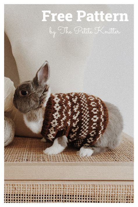 Bunny Sweater Knitting Pattern, Bunny Sweater Crochet, Free Dog Knitting Patterns, Cat Sweater Pattern, Rabbit Sweater, Knitting Quilt, Rabbit Knitting Pattern, Bunny Sweater, Rabbit Clothes