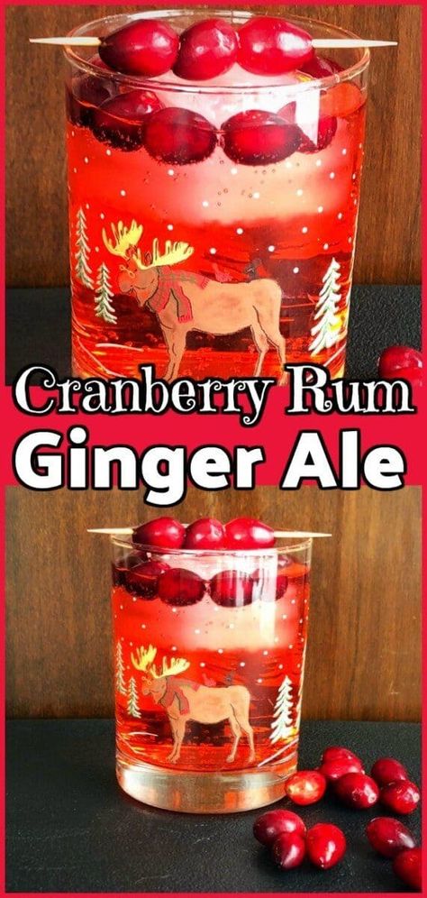 This deliicous Cranberry Rum Ginger Ale is an Excellent #Cocktail / #Mocktail for the holidays! #christmas #holidays #xmas #cocktails #drink Cocktails With Ginger Ale, Cocktails With Ginger, Holiday Drinks Alcohol Christmas, Ginger Ale Drinks, Fun Holiday Drinks, Ginger Ale Cocktail, Cocktails Made With Rum, Cranberry Ginger Ale, Ginger Ale Recipe