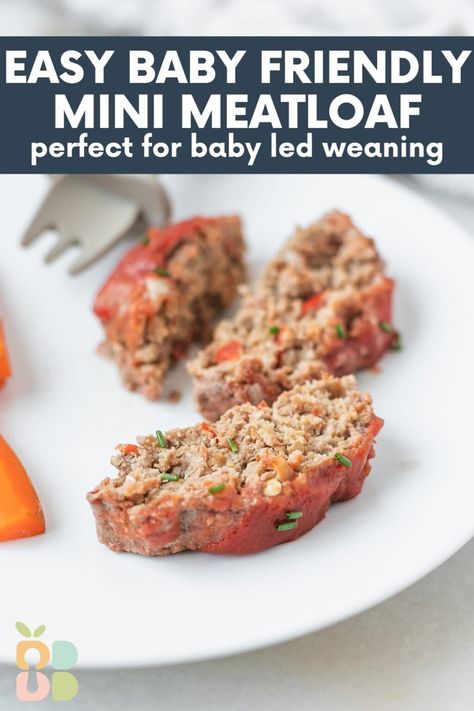 Easy Baby Friendly Meatloaf - Baby Led Bliss Blw Recipes 6 Months No Teeth, Baby Led Weaning Dairy Free, Toddler Meatloaf, Ground Beef Baby Led Weaning, 11 Month Old Dinner Ideas, Toddler Meat Recipes, Dairy Free Baby Meals, Freezer Friendly Baby Led Weaning, Pumpkin Baby Food Recipes