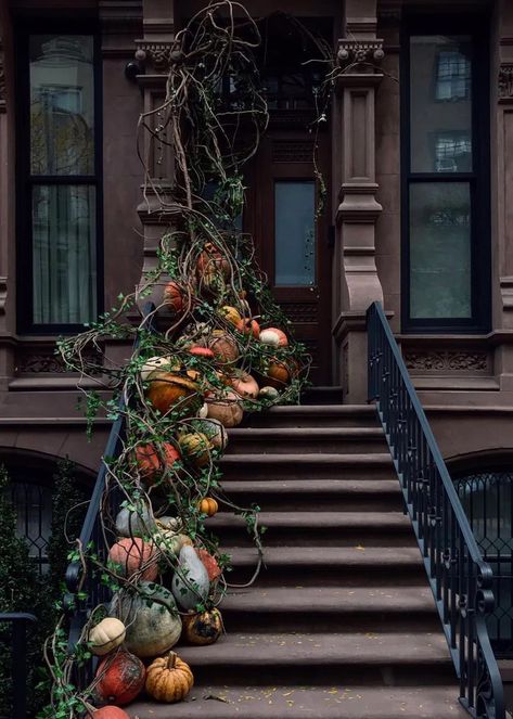 Porch Pumpkins, Aesthetic Home Decor, Fall Front Porch Decor, Autumn Decorating, Fall Front Porch, Fall Decorations Porch, Halloween Porch, Fall Front, Fall Halloween Decor