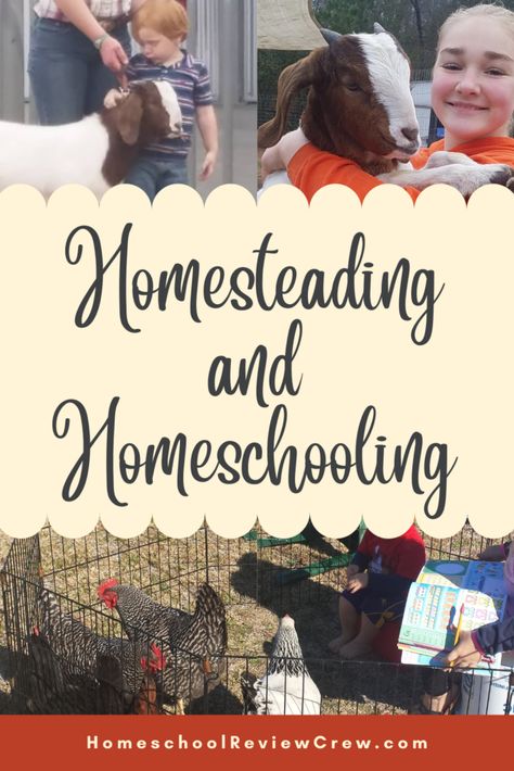 Homeschool Homestead, Hobby Farming, Raising Chicks, Farm Kids, Homesteading Skills, Homeschool Inspiration, Homeschool Encouragement, Homeschool Kids, Homeschool Classroom