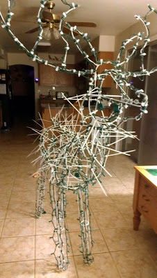 Scoontemplations: Restringing an outdoor lighted deer Christmas Deer Lights, Outdoor Reindeer, Deer Light, Software Programmer, Reindeer Lights, Wrapped Lights, Deer Decor, Bird Watcher, Random Thoughts