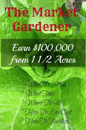 How can you make money on your Homestead? Can you really live on only 1 1/2 acres? There are many ways to make a homestead work. Here is one that is outstanding! This is a great garden plan full of very helpful tips for starting a market vegetable garden. Country Homestead, For Girlfriend, Healthy Soil, Homestead Gardens, Quick Start Guide, Homestead Farm, Homesteading Skills, Permaculture Design, Grow Food