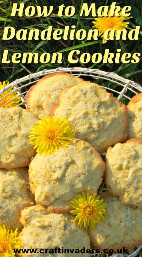 Lemon Biscuits, Cottagecore Recipes, Edible Flowers Recipes, Wild Food Foraging, Foraging Recipes, Foraged Food, Herbal Recipes, Biscuits Recipe, Dandelion Recipes