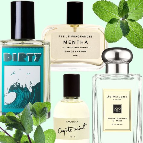 6 Mint Fragrances That Don't Smell Like Toothpaste How To Smell Like Mint, Mint Scent Aesthetic, Smell Fresh All Day, Mint Perfume For Women, Mint Perfume, Pistachio Perfume, Perfume Suggestions, Mint Body Wash, Mint Fragrance