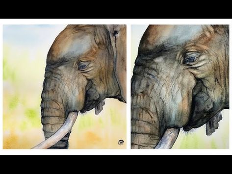 Watercolors Tutorial, Paint Elephant, Watercolour Videos, Watercolour Animals, Watercolour Tutorial, Watercolor Videos, Painting School, Time Video, Watercolor Tutorial