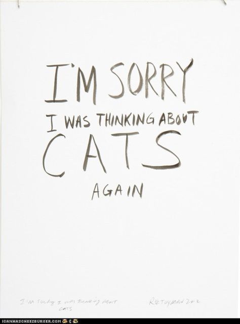 i'm sorry. i was thinking about cats again. (if you haven't seen the video to which this is paying homage, please click through and watch it. it is awesome.) Kinds Of Cats, Cat Quotes, About Cats, I'm Sorry, Cats Meow, What’s Going On, All About Cats, Crazy Cat Lady, True Words