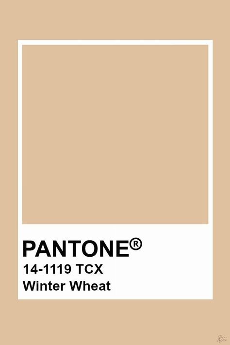 Interior Design Bedroom Master, Pantone Tcx, Winter Wheat, Pantone Swatches, Pantone Palette, Pantone Colour Palettes, Pantone Colors, Look Good Feel Good, Color Inspo