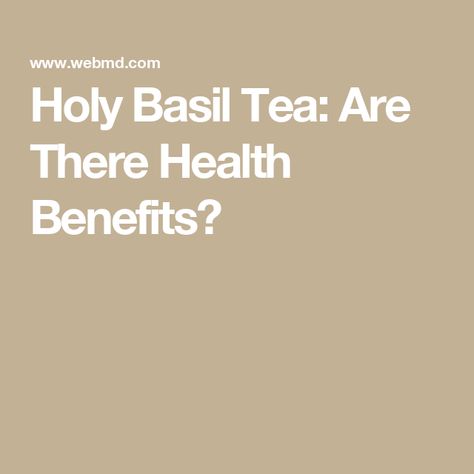 Holy Basil Tea: Are There Health Benefits? Holy Basil Tea, Ocimum Tenuiflorum, Basil Tea, Tea Health Benefits, Aromatic Plant, Holy Basil, Tea Benefits, Aromatic Herbs, Food Preservation