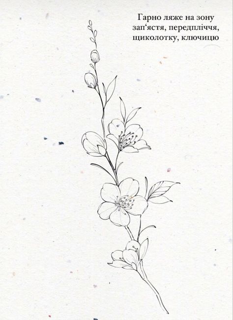 Sakura Branch Drawing, Cherry Blossom Fine Line Tattoo, Cherry Blossom Hip Tattoo, Sakura Tattoo Design, Cherry Blossom Sketch, Sakura Flower Illustration, Dragon Flower Tattoo, Cherry Blossom Tattoo Men, Sakura Flower Tattoo