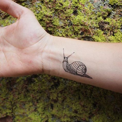 Snail temporary tattoo! Available on etsy.com/shop/naturetats #Regram via @naturetats Black Outline Tattoo, Tattoo Shell, Snail Tattoo, Shell Tattoo, Tattoo Off, Shell Tattoos, Outline Tattoo, Bug Tattoo, Landscape Tattoo