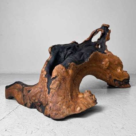 Beautiful decorative root structure (Burl Wood) from Japan, 1950s.  Bring the splendour of nature into your interior with these whimsical organic shapes. Dimensions: height 40 cm, width 70 cm, depth 35 cm. Weight: 7 kg. Japan 1950s, Driftwood Art Sculpture, Tree Burl, Driftwood Ideas, Wood Sculpture Art, Wood Burl, Root Structure, Driftwood Sculpture, Driftwood Decor