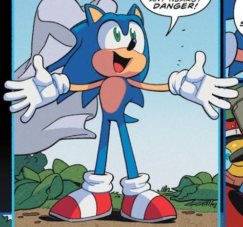 Sonic Idw, Sonic Comic, How To Draw Sonic, Funny Hedgehog, Sonic & Knuckles, Sonic Heroes, Sonic Funny, Lil Boy, Sonic 3