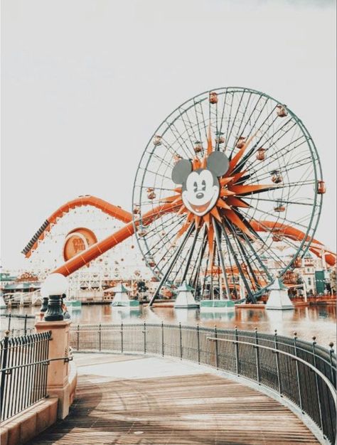 #disney #disneyland #wonderful #awesome Summer Astetics, Ferris Wheel Aesthetic, Wheel Aesthetic, Cute Background For Zepeto, Beach Wall Collage, Kpop Fandom, Lock Screens, Fandom Memes, Picture Collage Wall