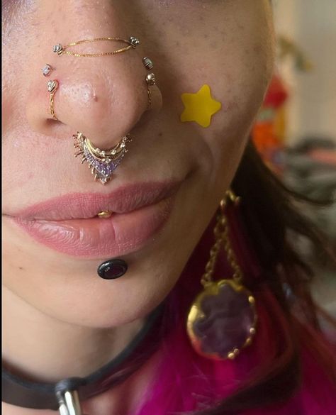 Stretched Nostril Piercing, Nose Piercing Curation, High Nostril Piercing Chain, Double High Nostril Piercing, Facial Piercings Chart, Aesthetic Piercings Face, Piercing Poster, Multiple Nose Piercings, Mantis Piercing