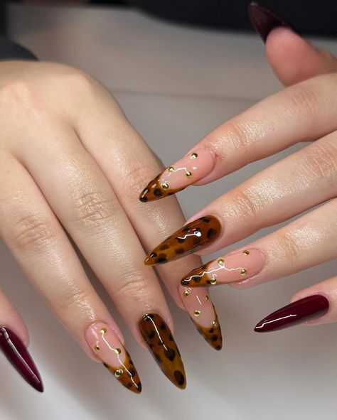 Animal print nails for the win 🏅🐢 * * #Nailedbycin#nails#vanailtech#nailtech#gelxnails#trendynails#nailsofinstagram#nailinspo#nailsoftheday#turtoisenails #fallnails🍁�🍂 #longnails #almondnails Burgundy Nails With Cheetah Print, Burgundy Cheetah Print Nails, Burgundy Animal Print Nails, Burgundy And Cheetah Nails, Burgundy Leopard Nails, Red And Leopard Print Nails, Animal Print Uñas, Red Cheetah Nails, Uñas Animal Print