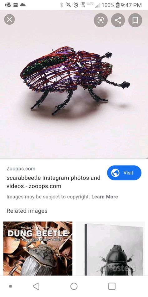 Dung beetle wire weaving Dung Beetle, Arachnids, Wire Sculpture, Wire Weaving, Holiday Decorating, Sea Life, Insects, Bee, Weaving