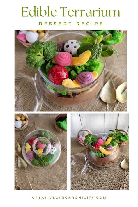 Edible Terrarium Dessert Recipe - Creative Cynchronicity Terrarium Dessert, Edible Terrarium, Traditional Trifle, Party Planning Food, Yogurt Covered Raisins, Sweet Dessert Recipes, Pb Cups, Candy Bark, Quick Easy Desserts