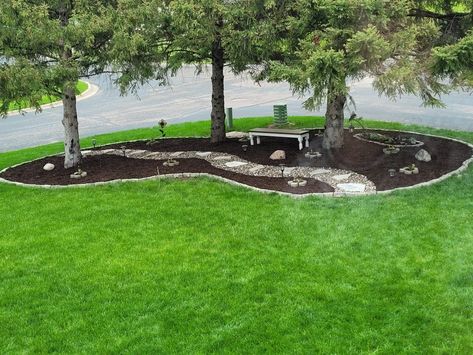 Tree Island Landscaping, Flower Bed Around Trees, Landscaping Between Two Trees, Under Pine Tree Landscaping Ideas, How To Landscape Under Pine Trees, Under Pine Tree Ideas, Landscape Around Pine Trees, Landscape Ideas With Pine Trees, Landscaping Around Multiple Trees