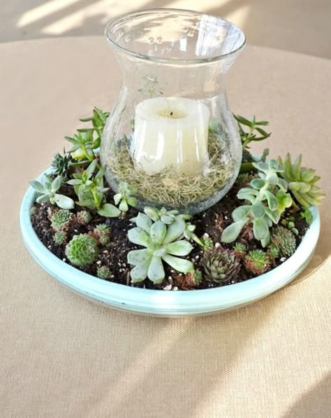 Diy Succulent Candle Centerpiece | Cottage t the Crossroads Succulent Centerpieces Diy, Succulent And Candle Centerpiece Wedding, Candle And Succulent Centerpieces, Succulent Candles Diy, Succulents Centerpiece, Succulent Centre Pieces, Succulent Candle Centerpiece, Diy Succulents Centerpiece, Succulent Arrangements Candle