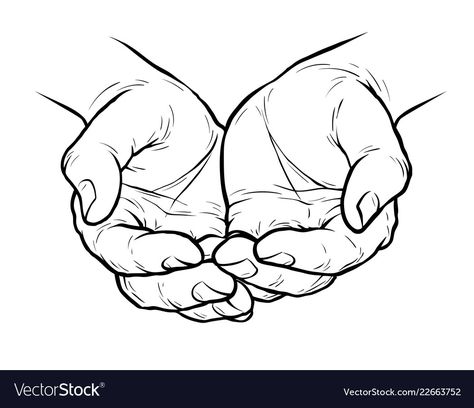 Hands Cupped Together, Meditation Hands, Hands Cupped, Hands Holding Heart, Hands Drawing, Folded Arms, Hand Lines, Cupped Hands, Hand Drawing Reference