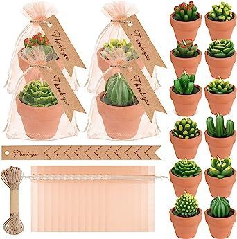 12 Pieces Succulent Candle Mini Cactus Tealight Candles Succulent Party Favors Novelty Fiesta Terrarium Plant Candles with Terracotta Pot Organza Bag Tags Twine for Birthday Wedding Baby Shower Party Succulent Candles, Succulent Party, Succulent Party Favors, Plant Candle, Succulent Candle, Candle Shower Favors, Clay Gift Tags, Clay Candle Holders, Baby Shower Candle Favors