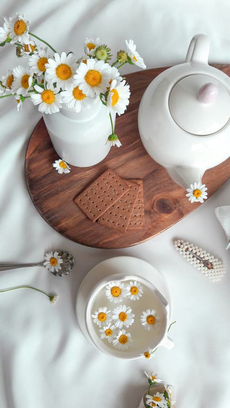 Daisy Tea, Mcdonald French Fries, Coffee Vs Tea, Photography Set Up, Sea Clouds, Retro Texture, Christmas Flatlay, Coffee Shop Photography, Chamomile Flower