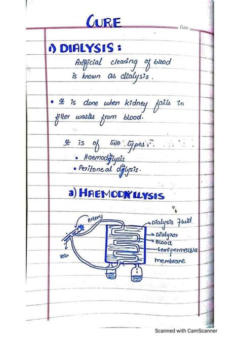 Kidney dialysis
Hemodialysis Botany Notes, Hand Written Notes, Jee Mains, Written Notes, Nursing Pins, School Related, Diary Ideas, Zoology, Hand Written