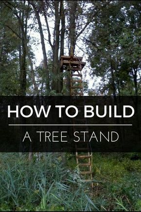 Deer Tree Stands, Tree Blinds Deer Stands, Diy Hunting Stand, Diy Tree Stand Hunting, Diy Tree Stand, Diy Deer Stand, Tree Stand Diy, Hunting Tree Stand, Texas Deer Hunting