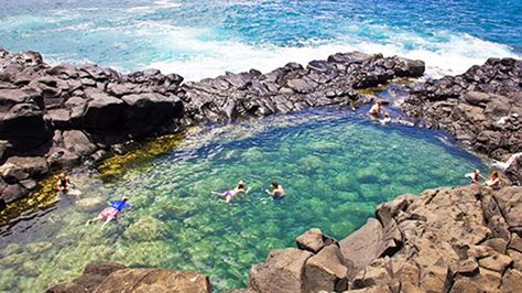 Queen’s Bath & Queen’s Pond - Kauai, Hawaii | Kukui'ula Queens Bath Kauai, Kauai Vacation, Hawaii Photography, Hanalei Bay, Hawaiian Vacation, Big Island Hawaii, Kauai Hawaii, Tide Pools, Natural Pool