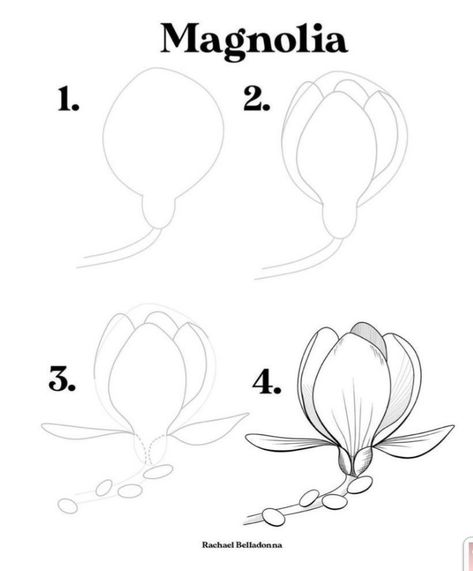 Magnolia Flower Drawing Simple, How To Draw A Magnolia Flower, Magnolia Doodle, Magnolia Drawing Simple, Magnolia Flower Drawing, Flower Magnolia, How To Draw Flowers, Draw Flowers, Flower Line Drawings