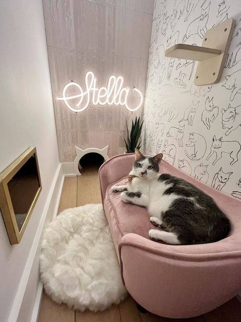 Room With Cats Aesthetic, Hidden Cat Room, Cat Spots In House, Tiny Cat Room Ideas, Cat Bedroom Pets, Cat Aesthetic Apartment, Small Cat Closet Ideas, Cute Cat Room Decor, Cute Diy Cat Stuff